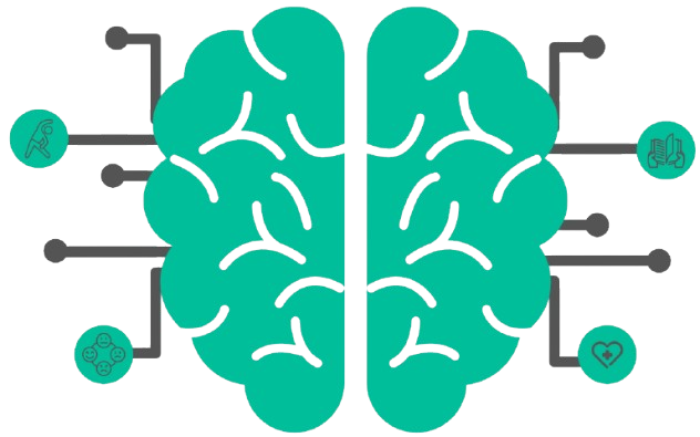 Imagem de cérebro representando neurociência